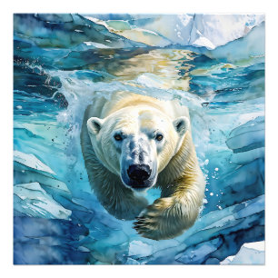 Foto Espelhamento Ártico: O Monarca Nadador