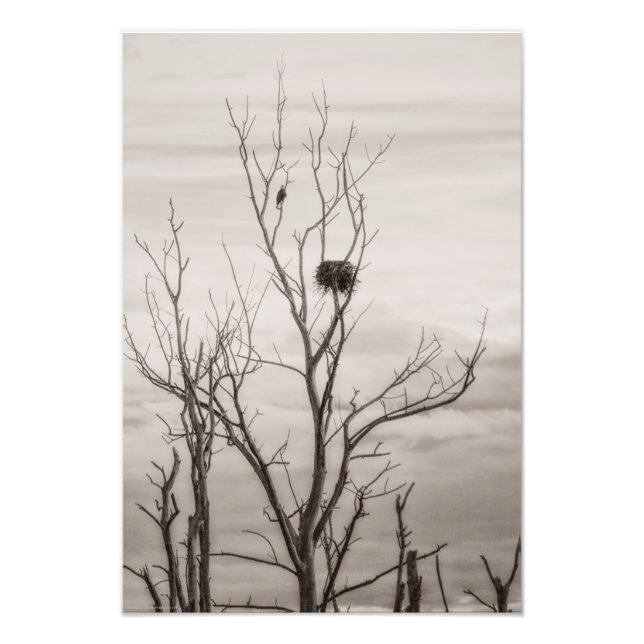 Foto Esperando a vida (Frente)