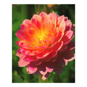 Foto Espetáculo de Verão