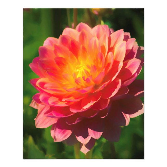 Foto Espetáculo de Verão (Frente)