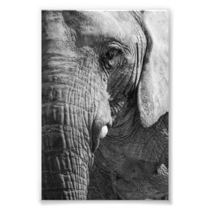 Foto Espião do olho