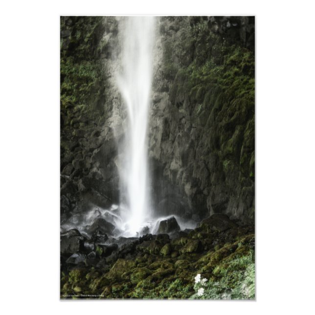 Foto Espírito da Bacia (Frente)