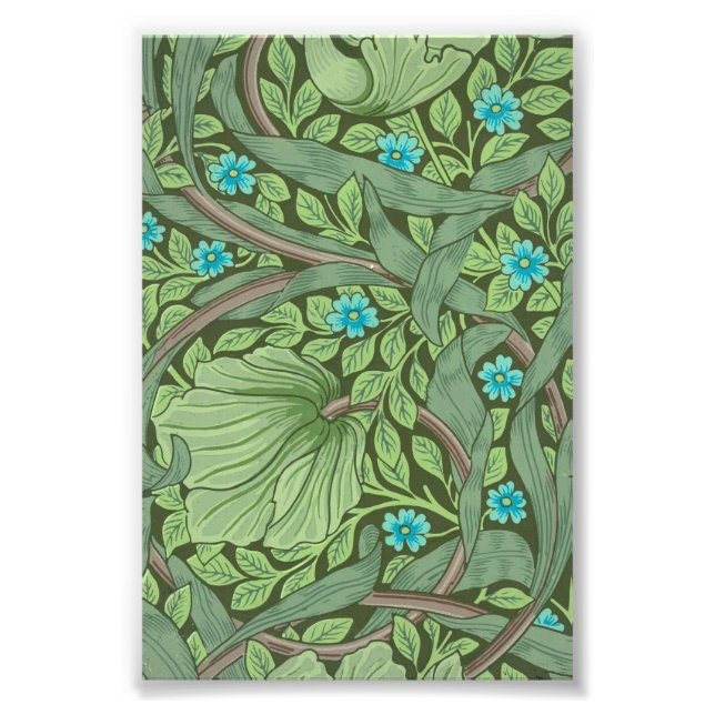 Foto Esqueça-me-Nots, Wallpaper de William Morris (Frente)