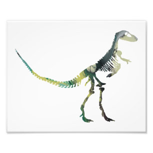 Foto Esqueleto de Deinodon