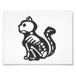 Foto Esqueleto de gato silhueta desenho animado - Escol