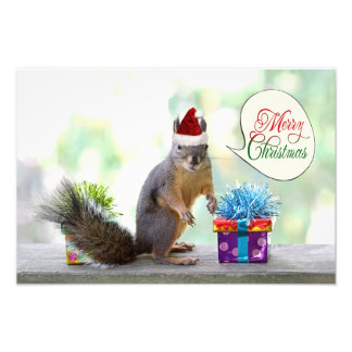 Foto Esquilo de Natal com Presentes de Natal