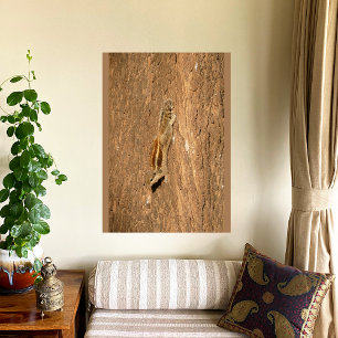 Foto Esquilo de Palma Indiano num tronco de Árvore