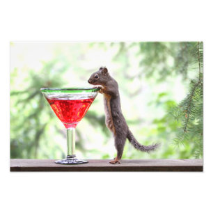 Foto Esquilo que bebe um cocktail