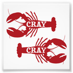 Foto Essa lagosta de Cray Cray crustácea