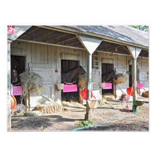 Foto Estábulos do "abrigo de Saratoga cavalo "