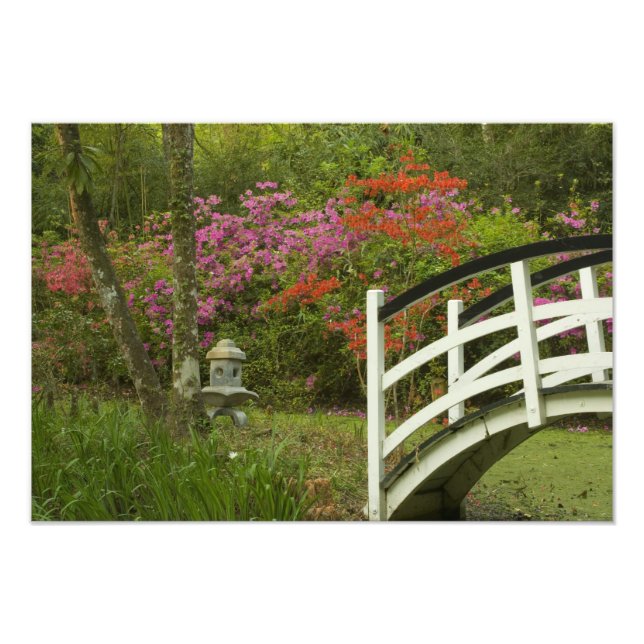 Foto Estados Unidos; Carolina do Sul; Charleston; 5 (Frente)