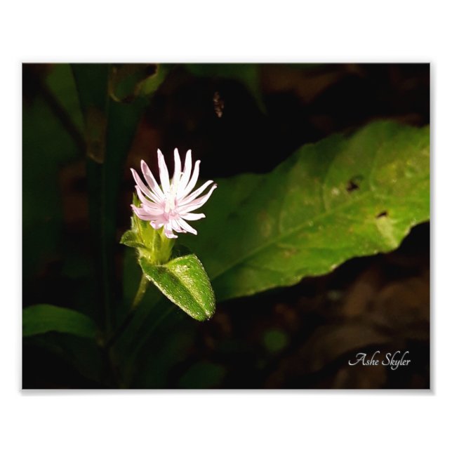 Foto Estância (Frente)