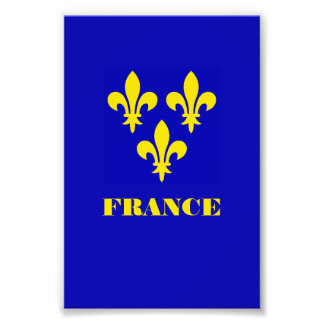 Foto Estandarte Real Francês Medieval Fidelidade Heráld