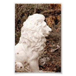 Foto Estátua do Leão de Pedra Branca Corajosa