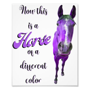 Foto Este É Um Cavalo De Uma Púrpura De Cor Diferente