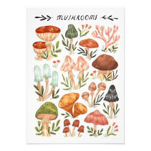 Foto Estilo de Cogumelos Caçadores de Cogumelos