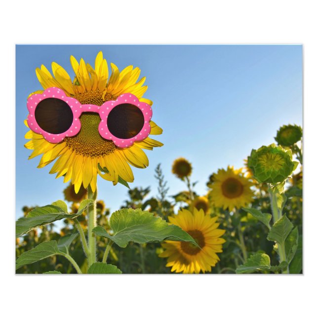 Foto Estilo Sunflower (Frente)