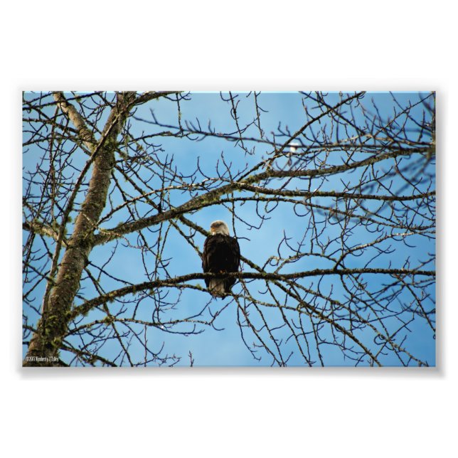 Foto Estou te observando (Frente)