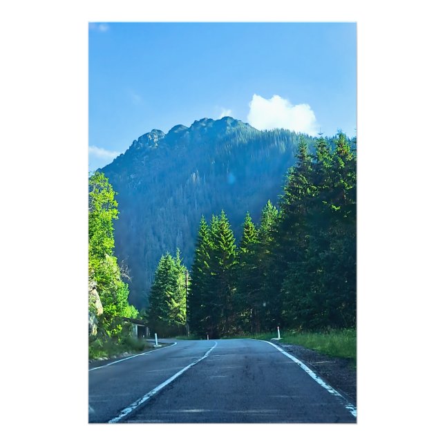 Foto Estrada da Floresta dos Cárpatos – Impressão de Mo (Frente)