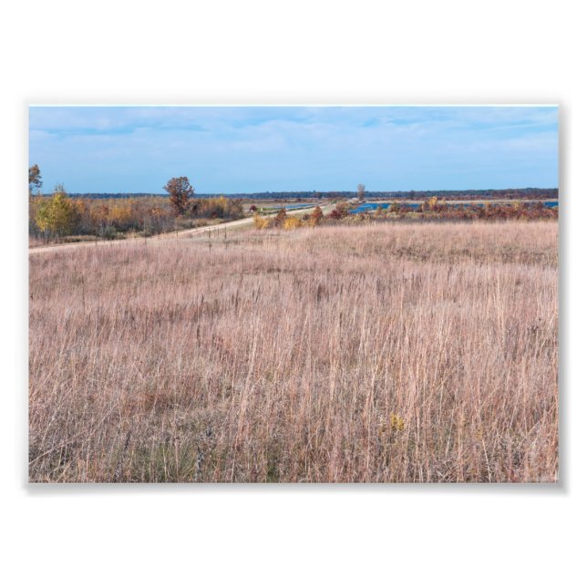 Foto estrada prairie no refúgio necedah (Frente)