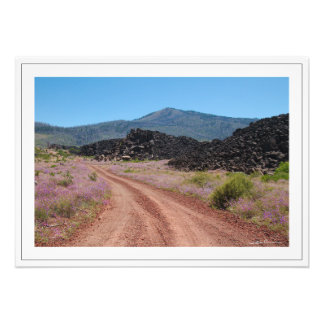 Foto Estrada Vermelha por Sidharta Pascual