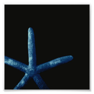 Foto Estrela do mar azul