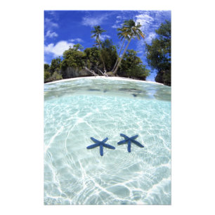 Foto Estrelas-do-mar, Ilhas de Rocha, Palau 2