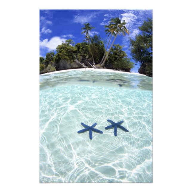 Foto Estrelas-do-mar, Ilhas de Rocha, Palau 2 (Frente)