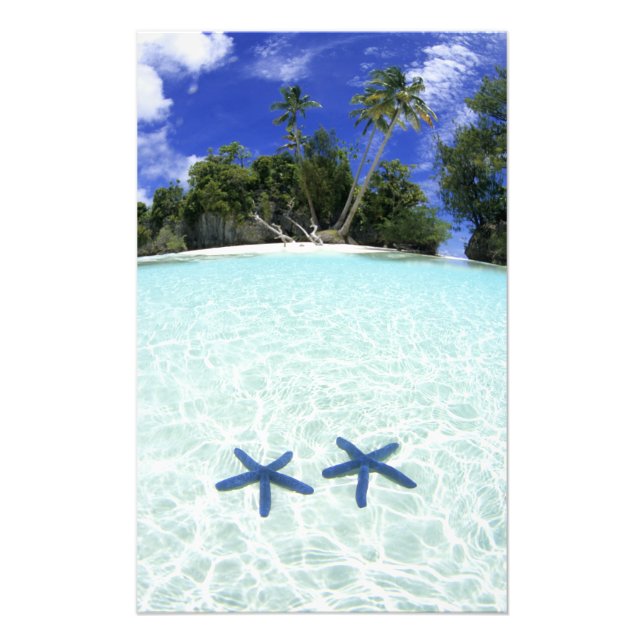 Foto Estrelas do mar, Ilhas Rochosas, Palau (Frente)