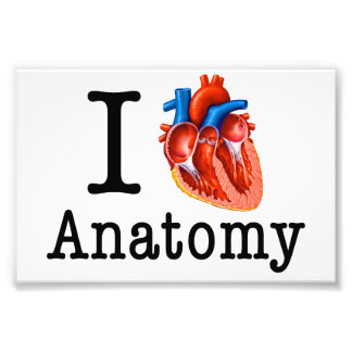 Foto Eu adoro Anatomia