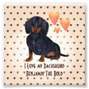 Foto Eu Adoro Meu Dachshund Adicionar Nome Cão De Carto