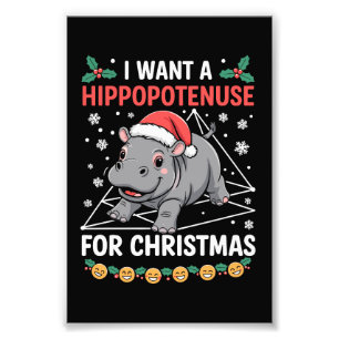 Foto Eu Quero Um Hippopotenusa Para O Professor De Mate