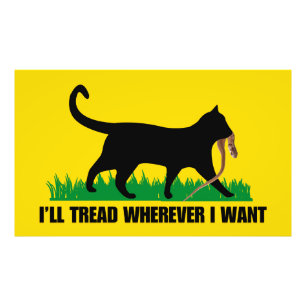 Foto Eu vou ler onde quiser