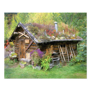 Foto EUA, Alasca, Parque Nacional Denali, Kantishna.