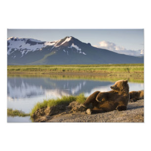 Foto EUA, Alasca, Parque Nacional Katmai, Ursos Pardo