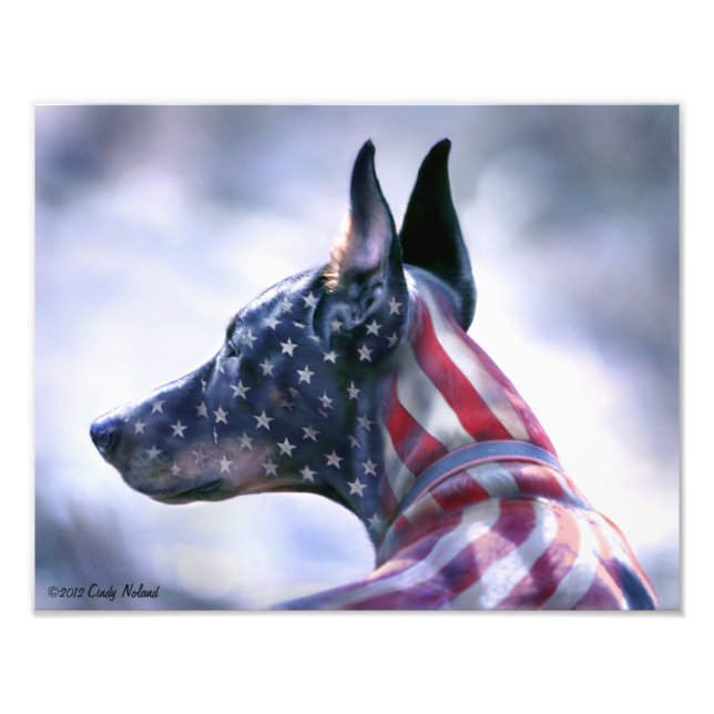 Foto EUA Flag Doberman Retrait (Frente)