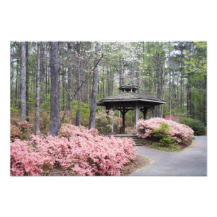 Foto EUA, Geórgia, Pine Mountain. Um gazebo entre