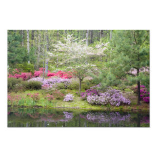 Foto EUA, Geórgia, Pine Mountain. Uma mistura de