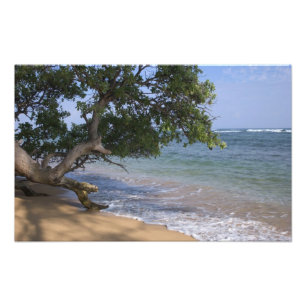 Foto EUA, Havaí, Kauai, praia cênica. RF)