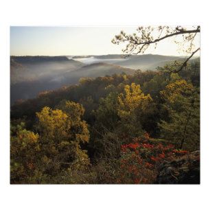 Foto EUA, Kentucky. Floresta Nacional Daniel Boone.