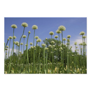 Foto EUA, Nova Inglaterra, Massachusetts, Boston,