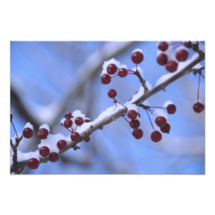 Foto EUA, Nova Inglaterra, Massachusetts, Reading, 3