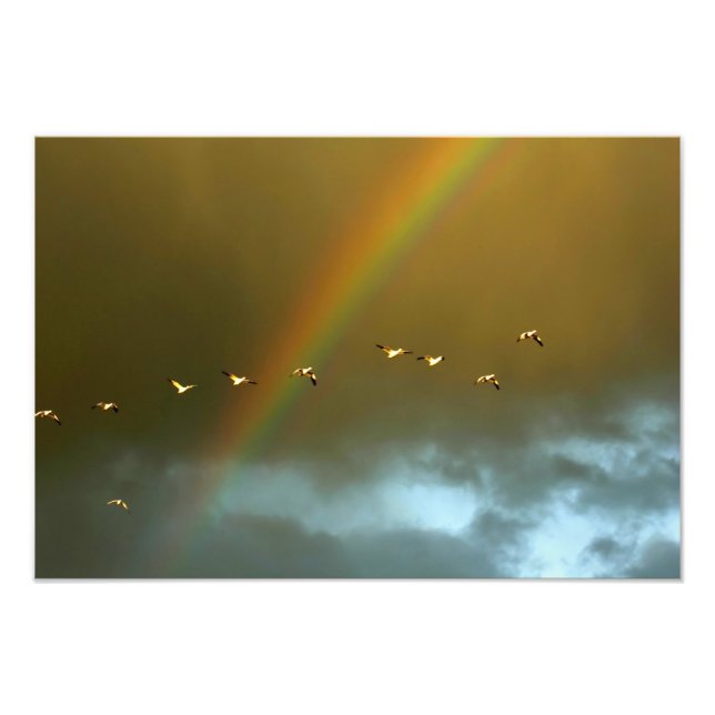 Foto EUA, Novo México, Bosque del Apache Nacional 3 (Frente)