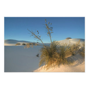 Foto EUA, Novo México, White Sands National 3