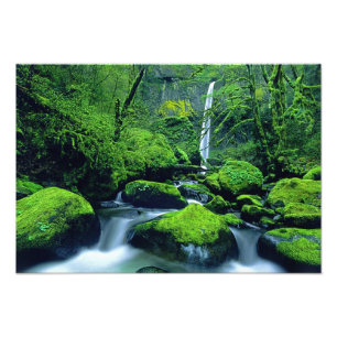 Foto EUA, Oregon, Columbia River Gorge Nacional 3
