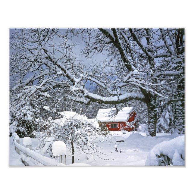 Foto EUA, Oregon, Condado de Clackamas. Neve fresca (Frente)