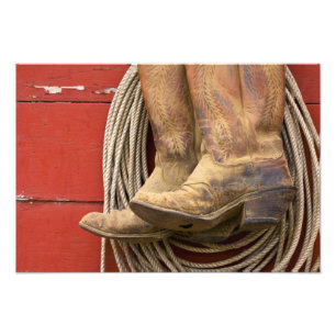 Foto EUA, Oregon, Seneca, Ponderosa Ranch. Close-up