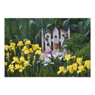 Foto EUA, Pensilvânia. Os irguetos do jardim crescem