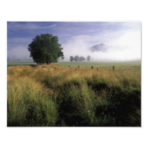 Foto EUA, Tennessee, Grandes Montanhas Fumegantes