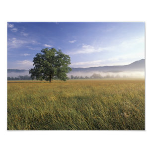Foto EUA, Tennessee. Grandes Montanhas Smokey 2